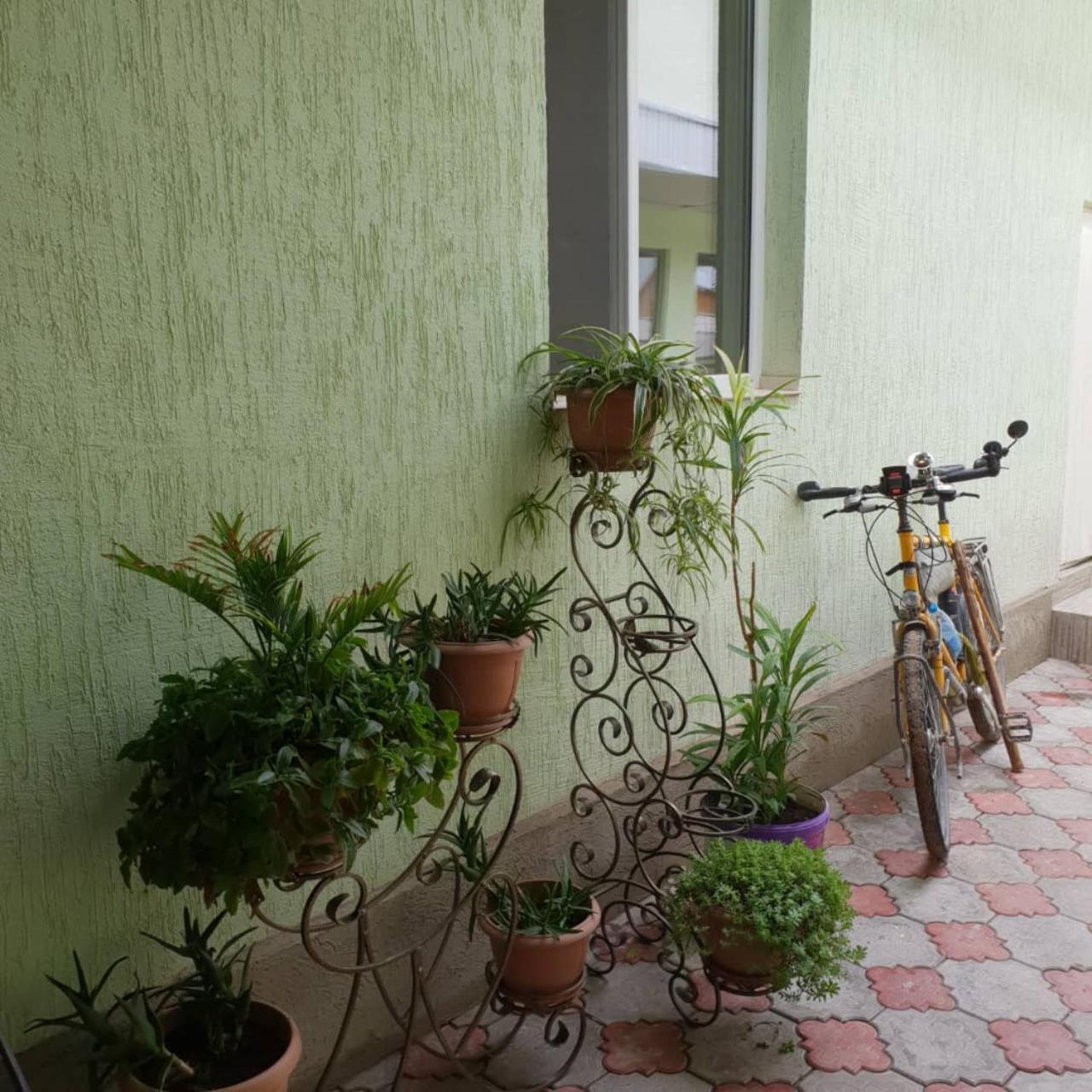 Datka Guest House Naryn Ngoại thất bức ảnh